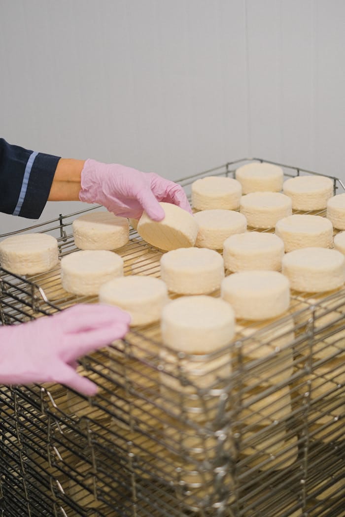 Worker arranging cheese rounds on racks in a production facility wearing pink latex gloves.